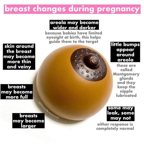 areola during pregnancy pictures|Areola Breast Changes in Early Pregnancy: Here’s。